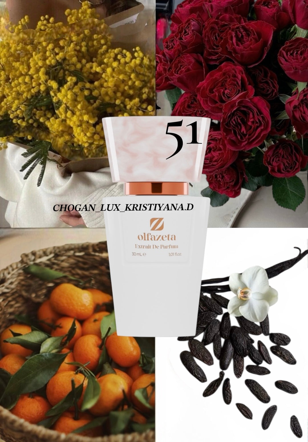 Парфюм CHOGAN 51